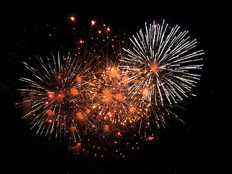 Colorful Fireworks Exploding in Night Sky