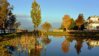 Serene Autumn Pond with Vibrant Tree Reflections
