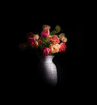 Colorful Tulips in White Ceramic Vase on Black Background