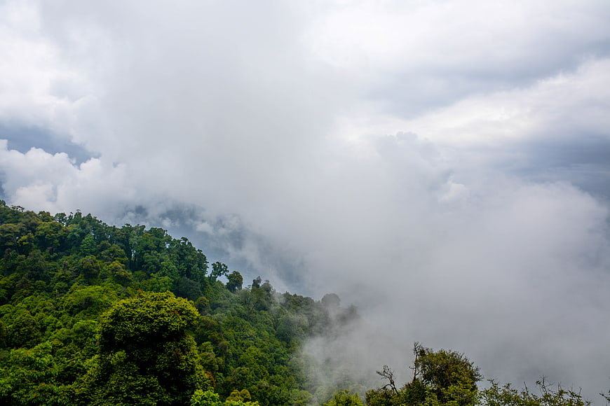 Misty Green Mountain Forest Landscape with Clouds