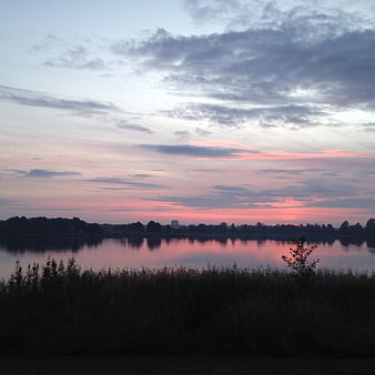 Serene Pink Sunset Over Lake with Silhouette Trees