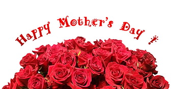 Red Rose Bouquet With Happy Mother's Day Text On White Background