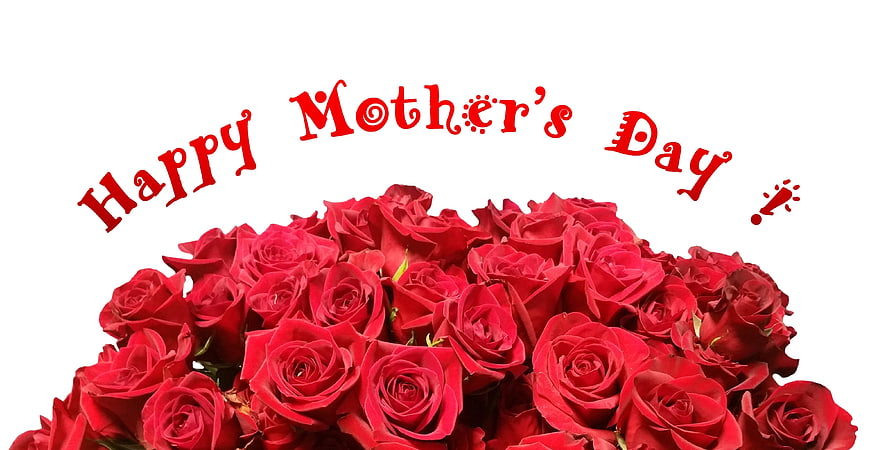 Red Rose Bouquet With Happy Mother's Day Text On White Background