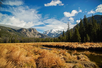 Golden autumn meadow with stream and snow-capped mountains