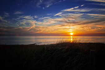 Sunset over ocean with silhouetted dune grass foreground
