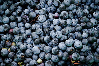 Close-up of fresh blueberries filling the frame