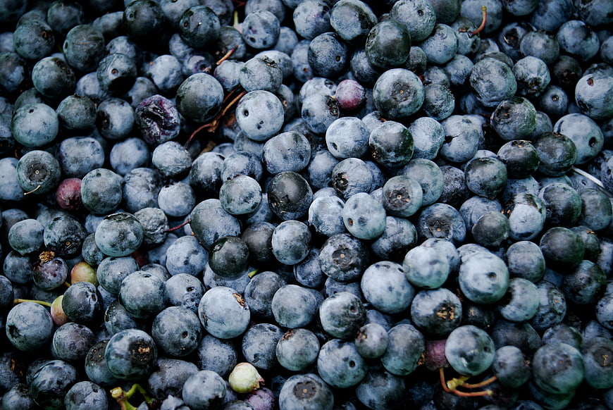 Close-up of fresh blueberries filling the frame