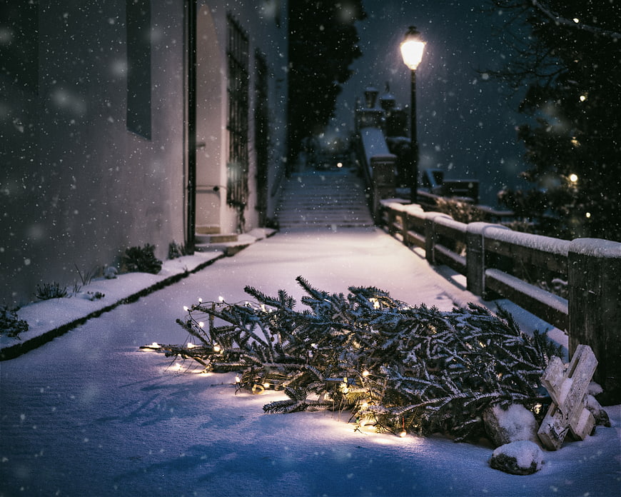 Discarded Christmas Tree in Snowy Night Street