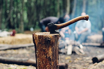 Axe stuck in a tree stump in a forest with blurred campers