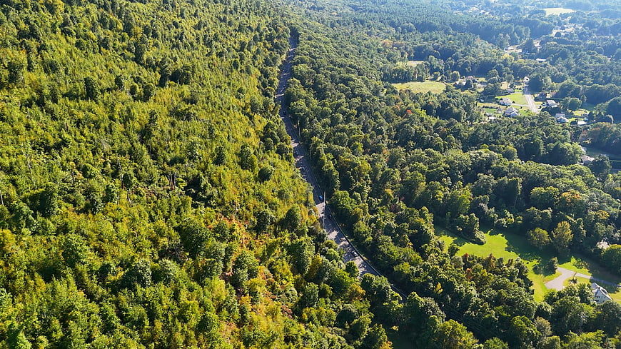 Aerial View of Winding Road Through Green Forest