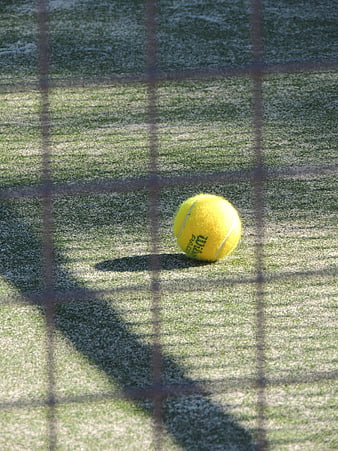 Yellow Tennis Ball on Grass with Net Shadow