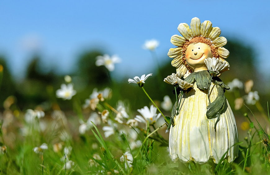 Garden Gnome Statue in Daisy Field