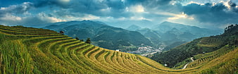 Panoramic View of Golden Rice Terraces in Mountainous Valley
