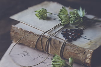Vintage Book with Dried Flowers and Twine