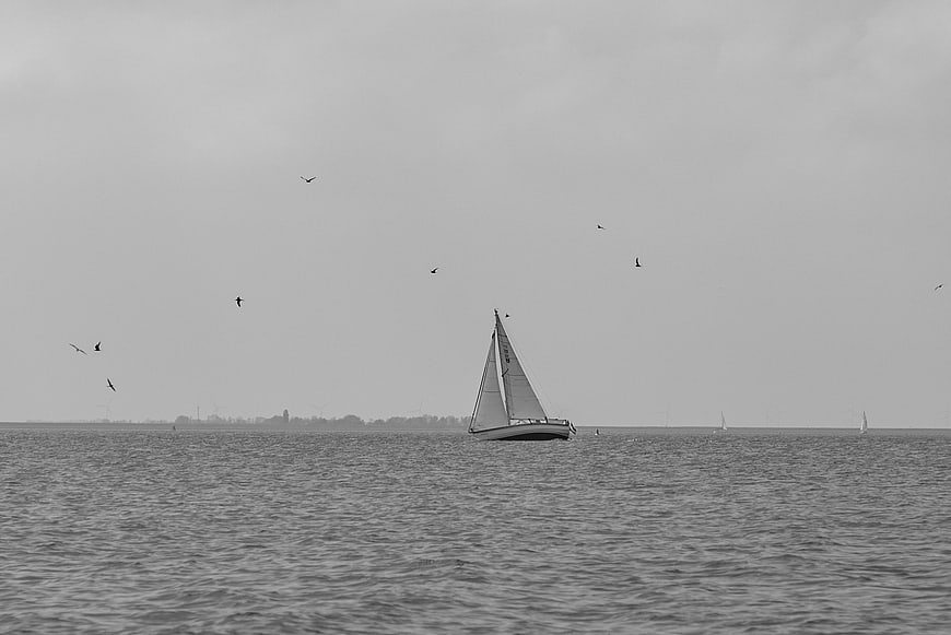 Lone Sailboat on Calm Sea with Flying Birds