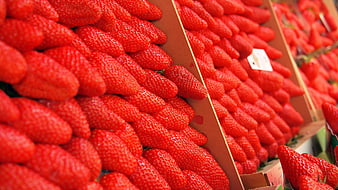 Fresh Red Strawberries in Cardboard Boxes at Market