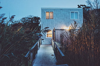 Modern House at Dusk with Wooden Walkway and Reeds
