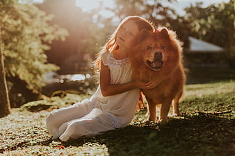 Young Girl Hugging Fluffy Chow Chow Dog in Sunlit Park