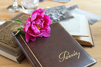 Vintage Leather Poetry Book With Pink Peony Flower Still Life