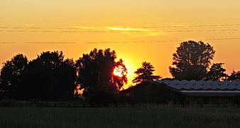 Golden sunset over rural landscape with silhouetted trees and barn