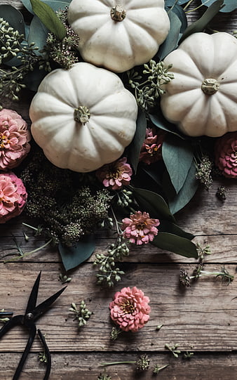 Rustic White Pumpkins and Pink Flowers Flat Lay