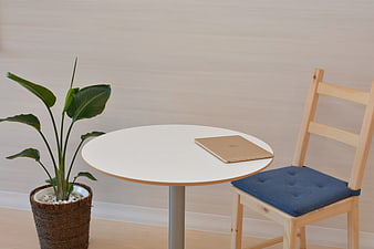 Minimalist workspace with laptop, chair, and plant