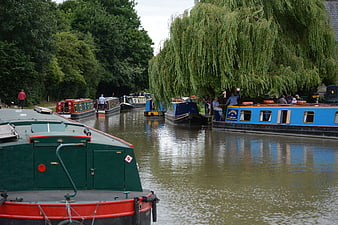 Narrowboats moored on a canal with weeping willow trees