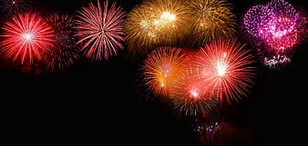 Colorful Fireworks Display on Black Night Sky Background