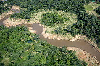 Aerial view of winding river through lush green forest landscape