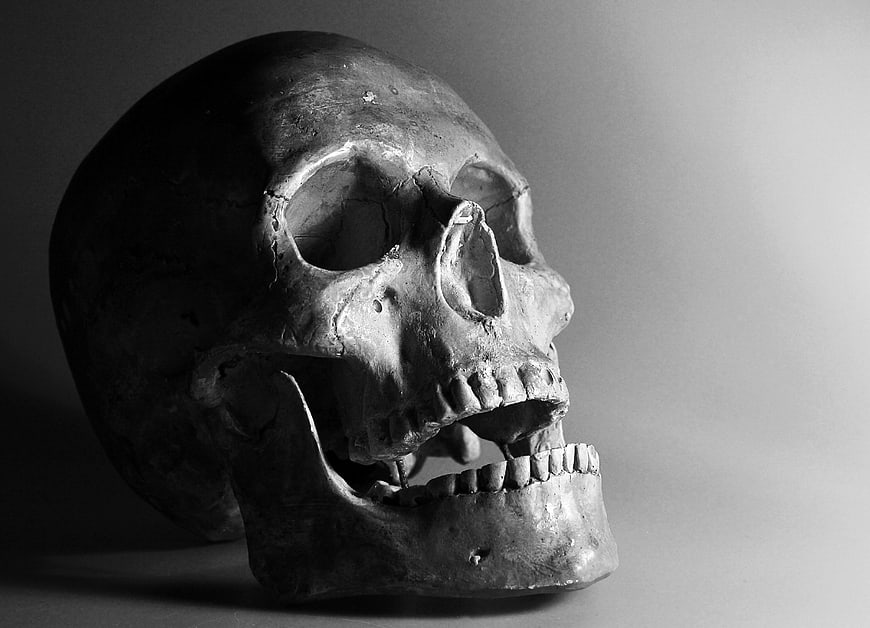 Black and white studio photograph of a human skull