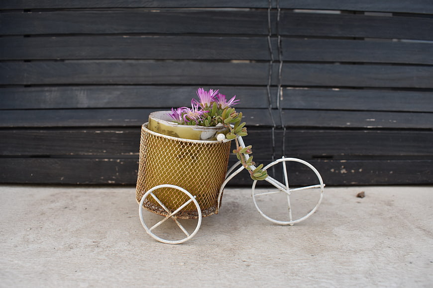 Decorative bicycle planter with purple succulent flowers