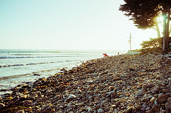 Surfer with red board on rocky beach at sunset