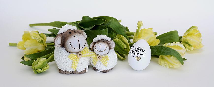 Cute Easter sheep figurines with yellow tulips and egg