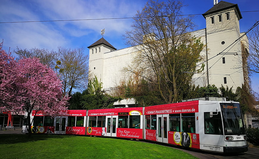 Red and white tram passing blooming pink tree in spring
