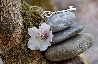 Stacked stones with key and flower on tree bark