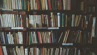 Vintage Bookshelves Filled with Old Books
