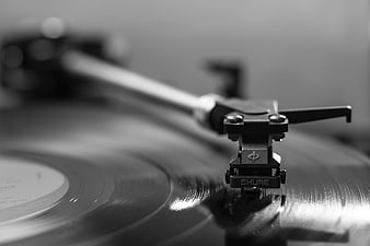 Close-up of Shure Turntable Stylus on Vinyl Record