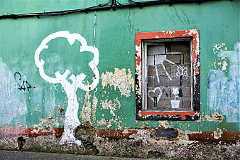 Weathered Green Wall with White Tree Graffiti and Boarded Window