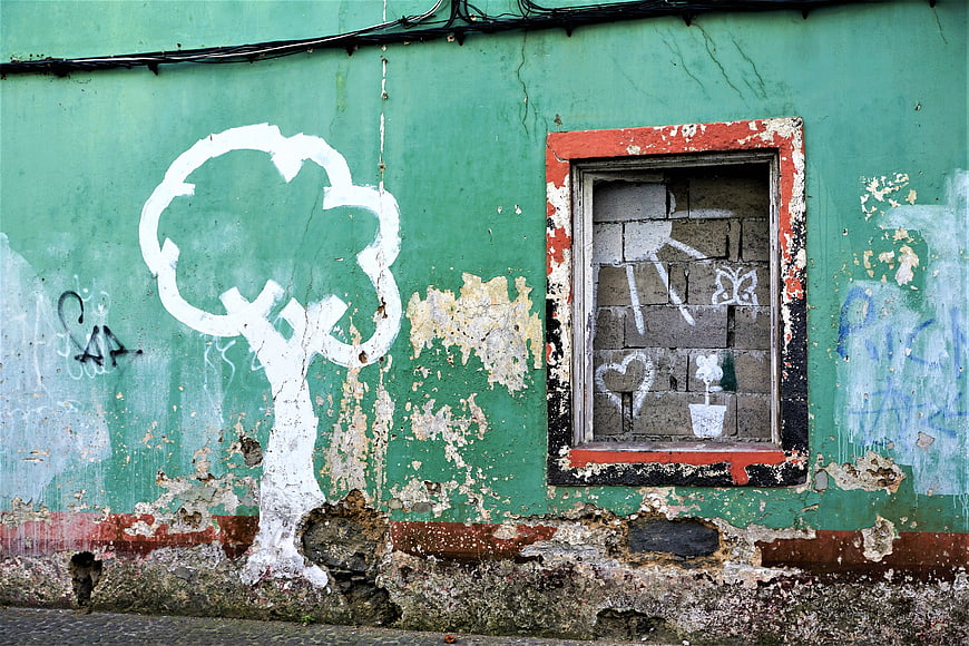 Weathered Green Wall with White Tree Graffiti and Boarded Window