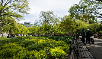 People Relaxing on Benches in Lush City Park