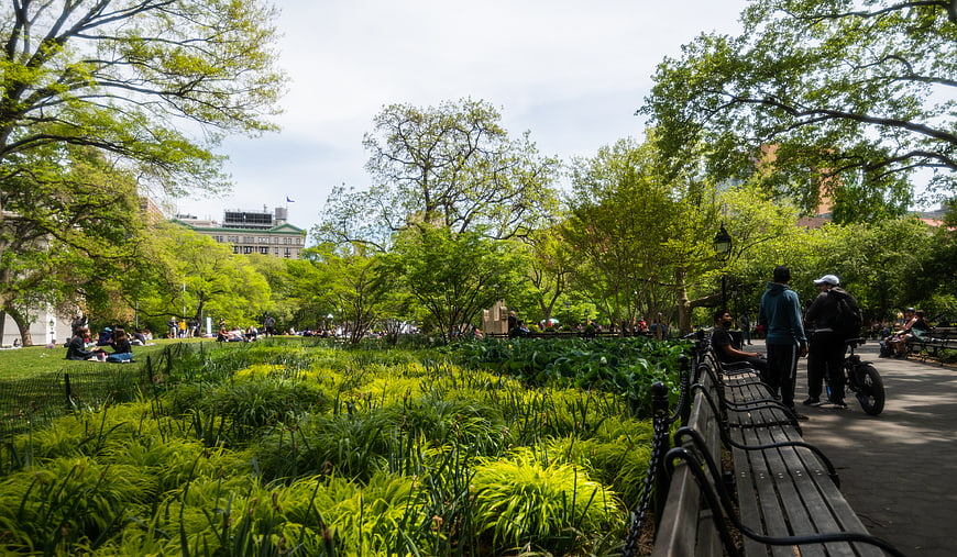 People Relaxing on Benches in Lush City Park