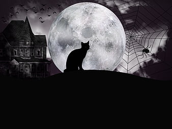 Halloween Night Scene With Black Cat Silhouette, Full Moon, Haunted House, Spider Web