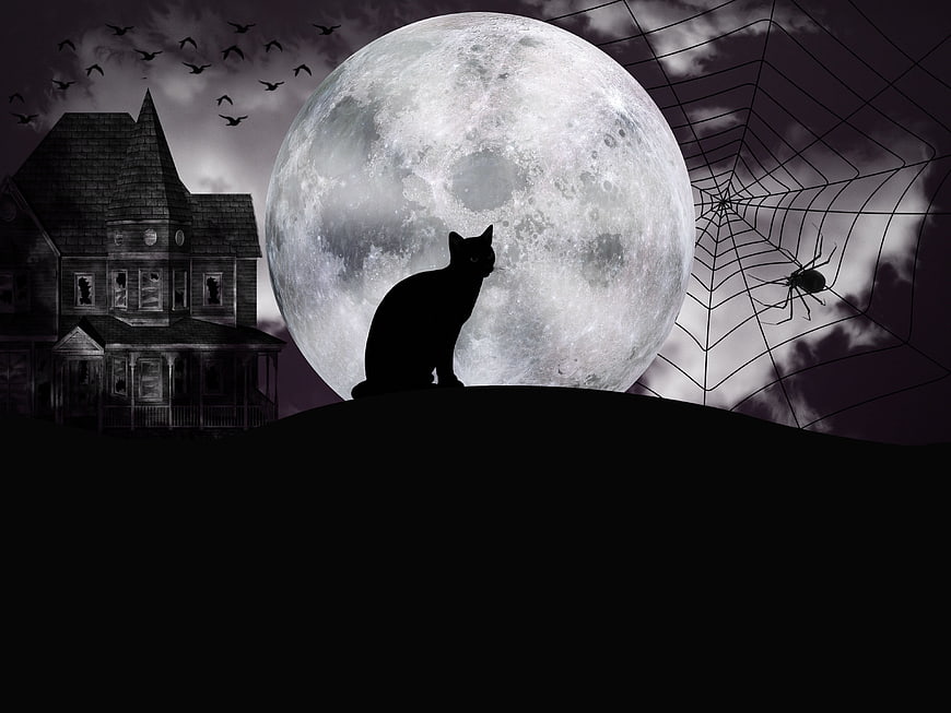 Halloween Night Scene With Black Cat Silhouette, Full Moon, Haunted House, Spider Web