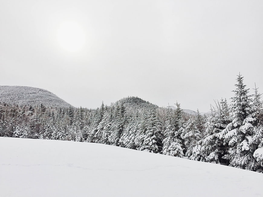 Serene Snow-Covered Mountain Forest Landscape