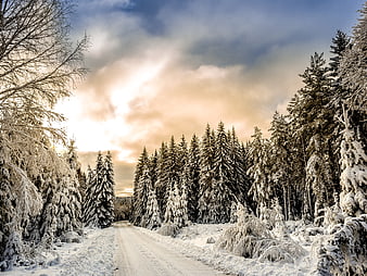 Snowy Winter Forest Road with Golden Sunset Sky