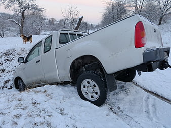 Damaged white pickup truck stuck in deep snow with dog in background