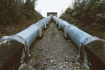 Parallel steel pipelines running through a forested gravel path