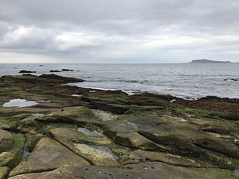 Mossy coastal rocks and tide pools under overcast sky