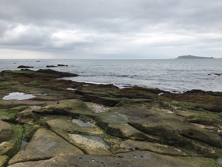 Mossy coastal rocks and tide pools under overcast sky