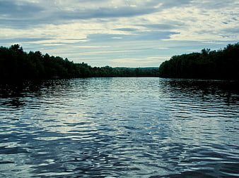 Serene Lake Landscape with Rippling Water and Forest